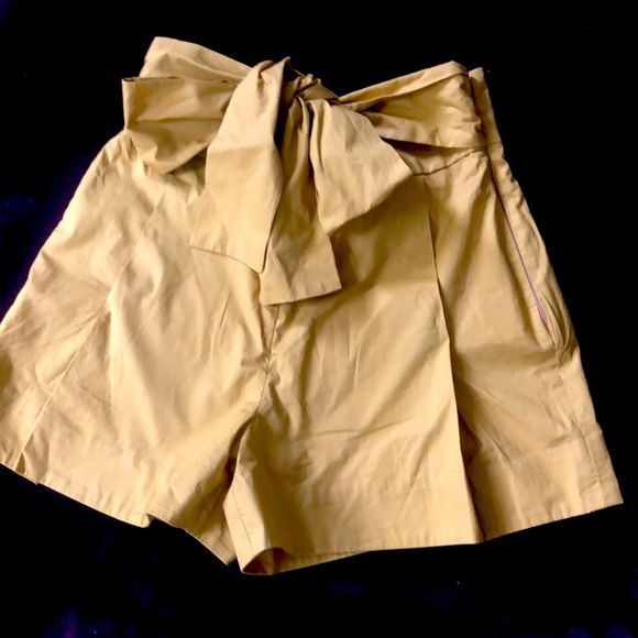 J. Crew Pants - J. Crew pleated shorts